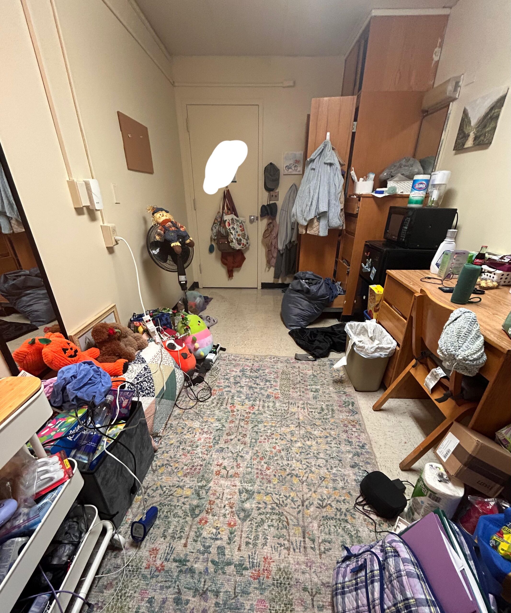 Dorm Room Cleanout Service In Aloha