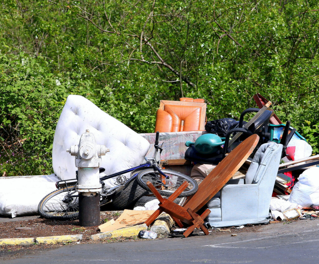 Rental Unit Cleanout In Aloha