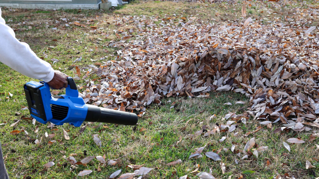 Yard Waste Pickup and Disposal Service In Aloha, OR