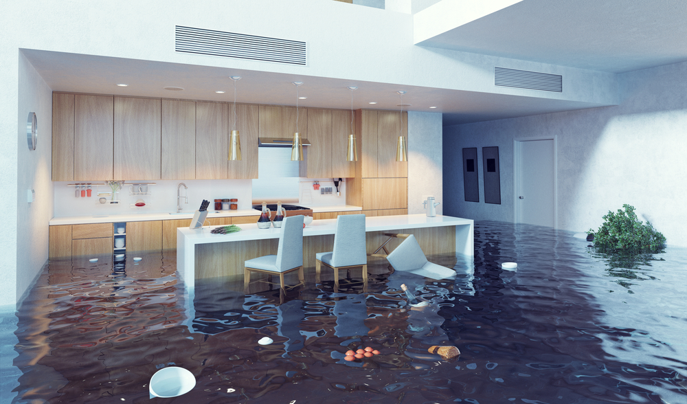 Flood Damage Cleanout Service In Aloha