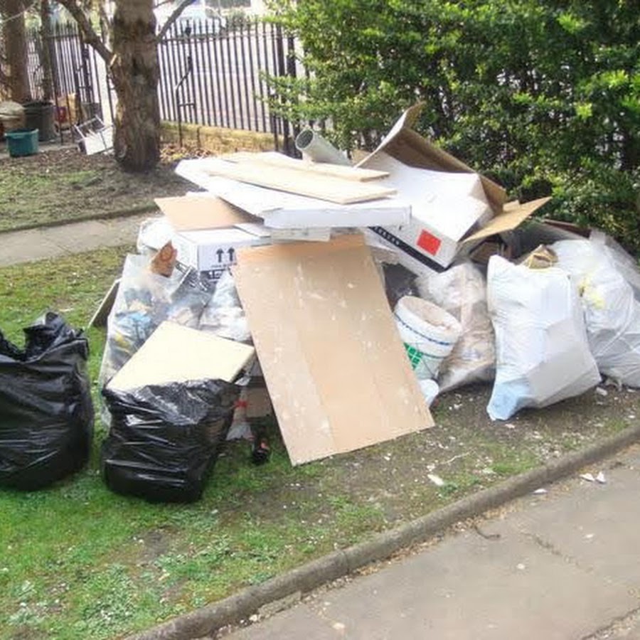 Dumpster Rentals Service In Renton
